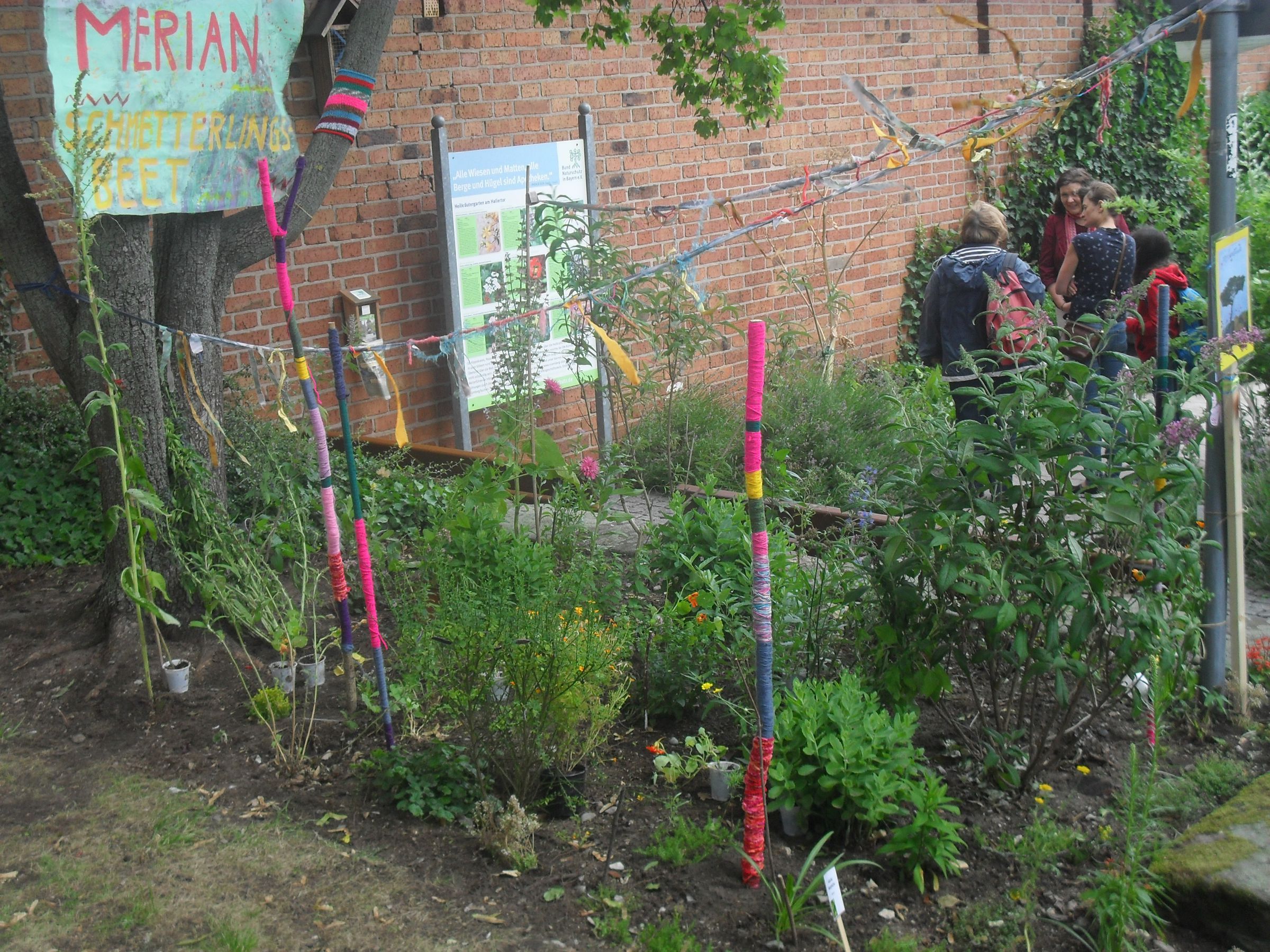 Merian-Beet Merian-Beet