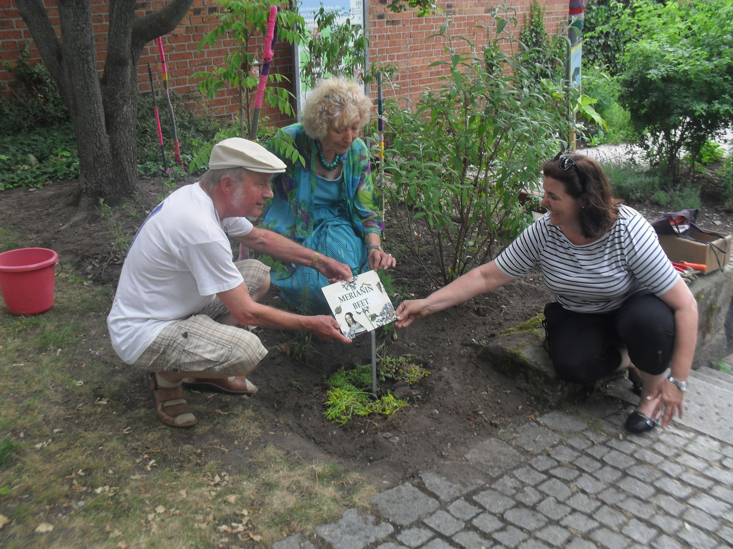 Merianbeet Merianbeet