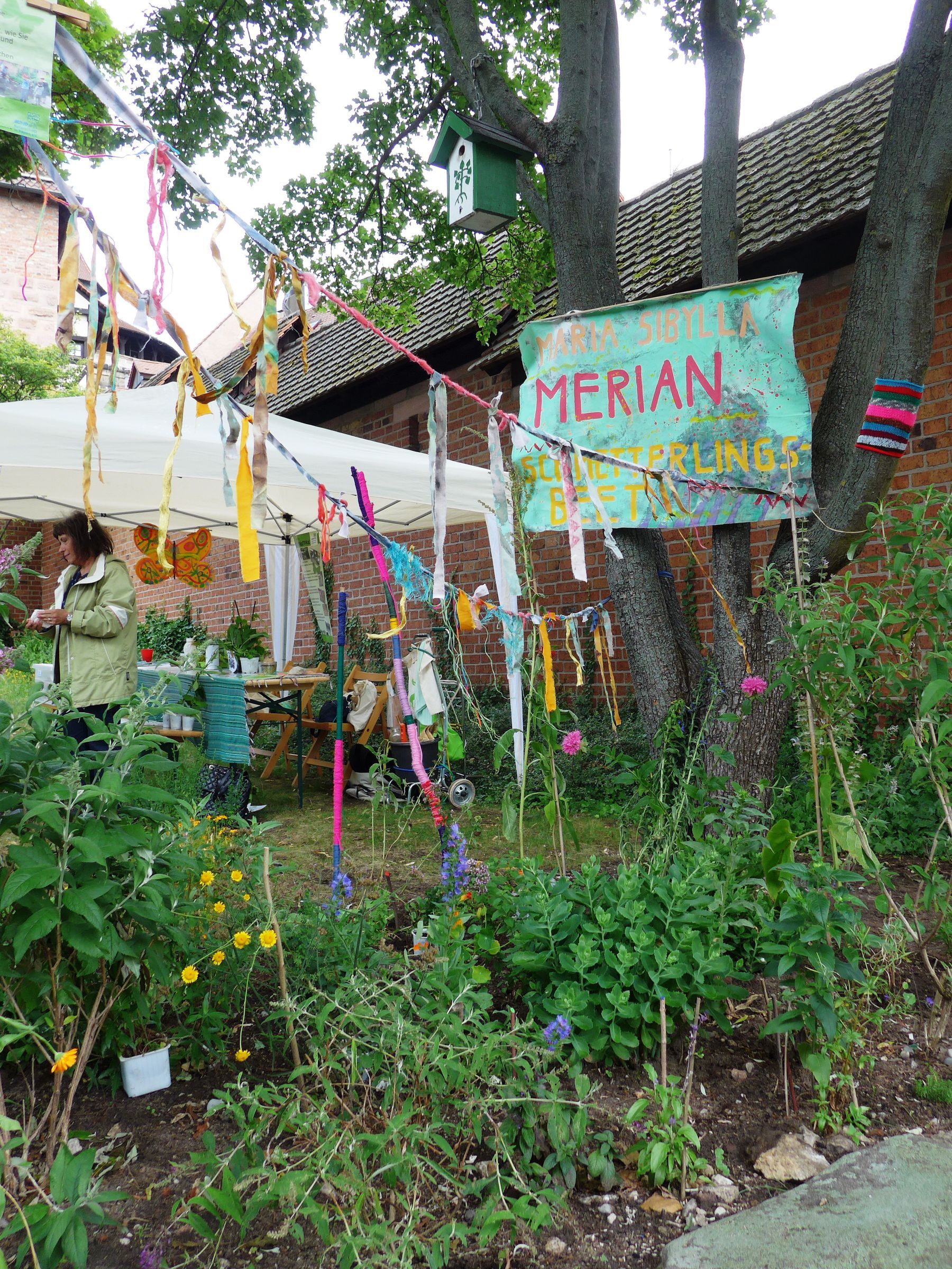 Merian-Beet Merian-Beet