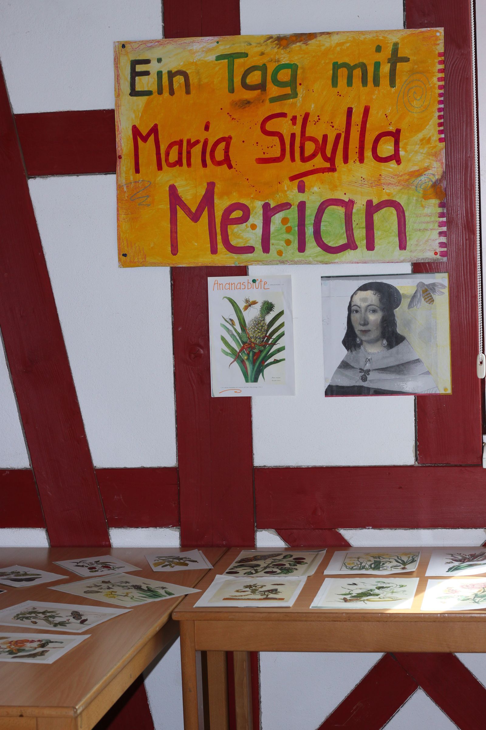 Ein Tag mit Maria Sibylla Merian Ein Tag mit Maria Sibylla Merian