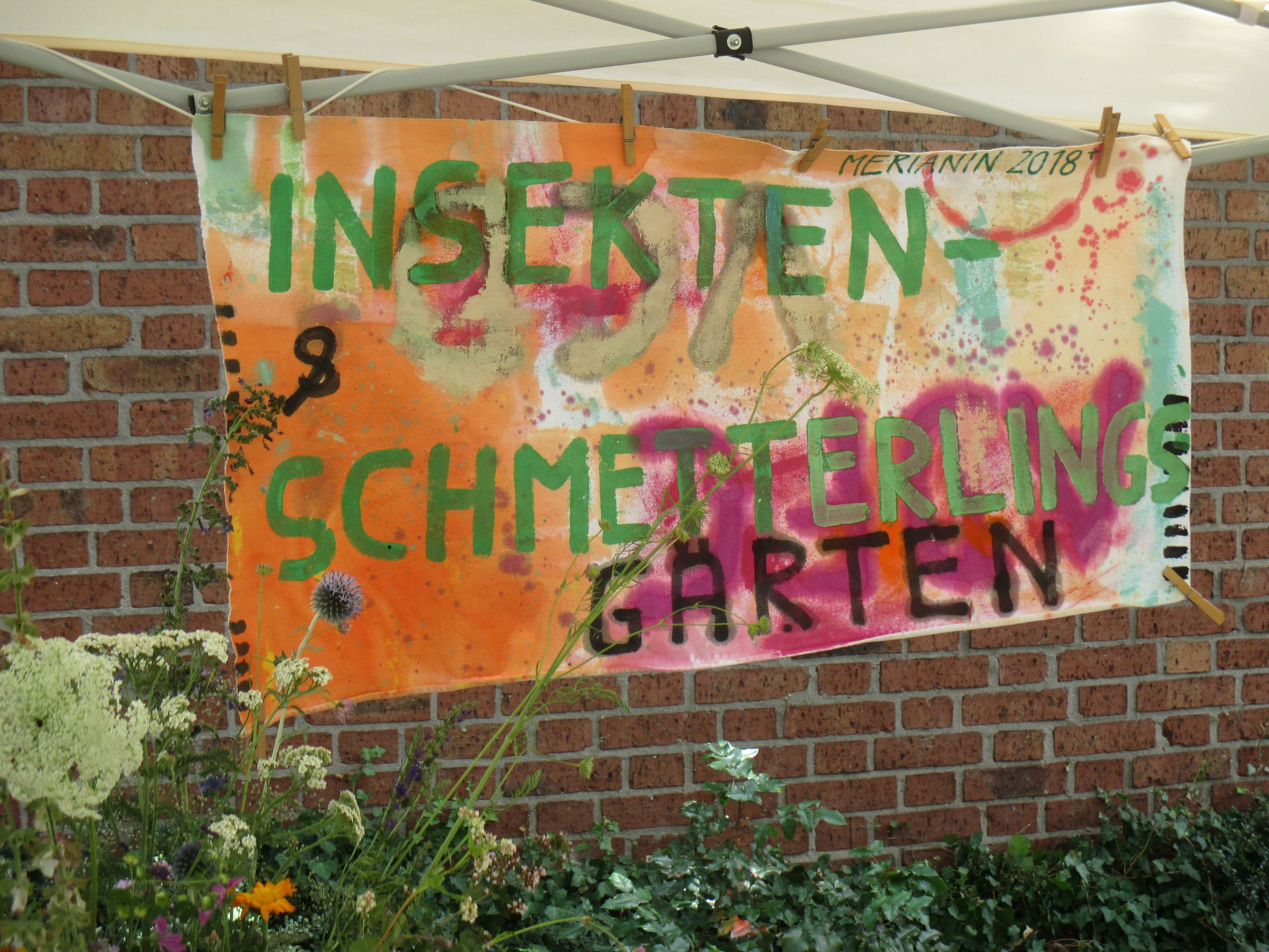 Insekten- und Schmetterlingsgarten Insekten- und Schmetterlingsgarten