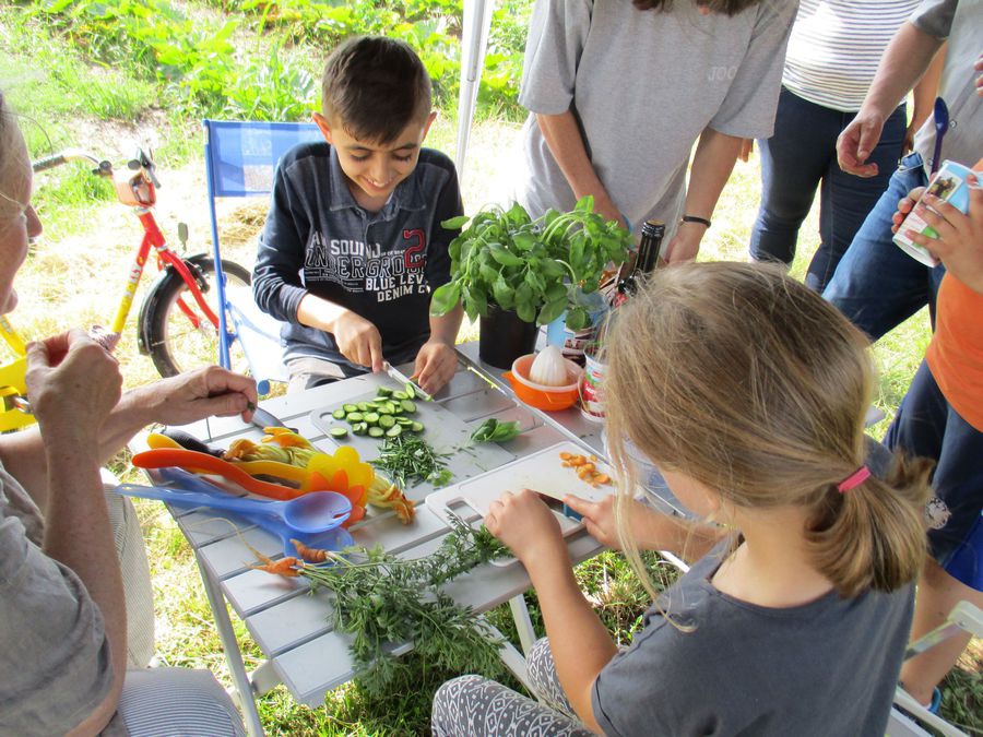 Gemüseacker Gemüseacker