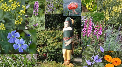 Heilkräutergarten am Hallertor Heilkräutergarten am Hallertor