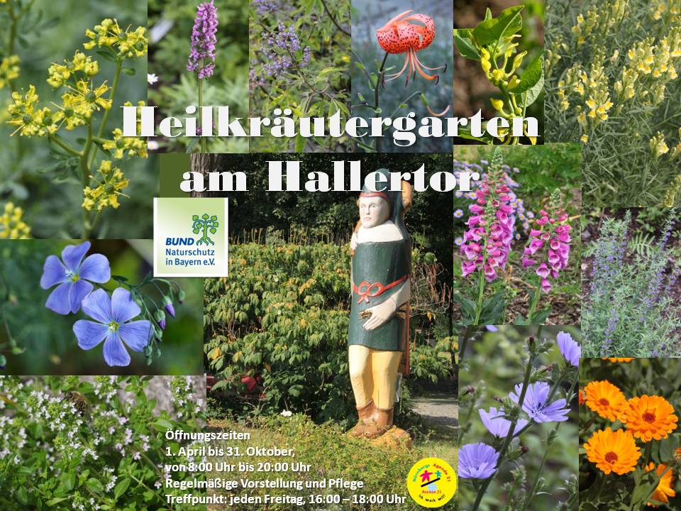 Heilkräutergarten am Hallertor Heilkräutergarten am Hallertor