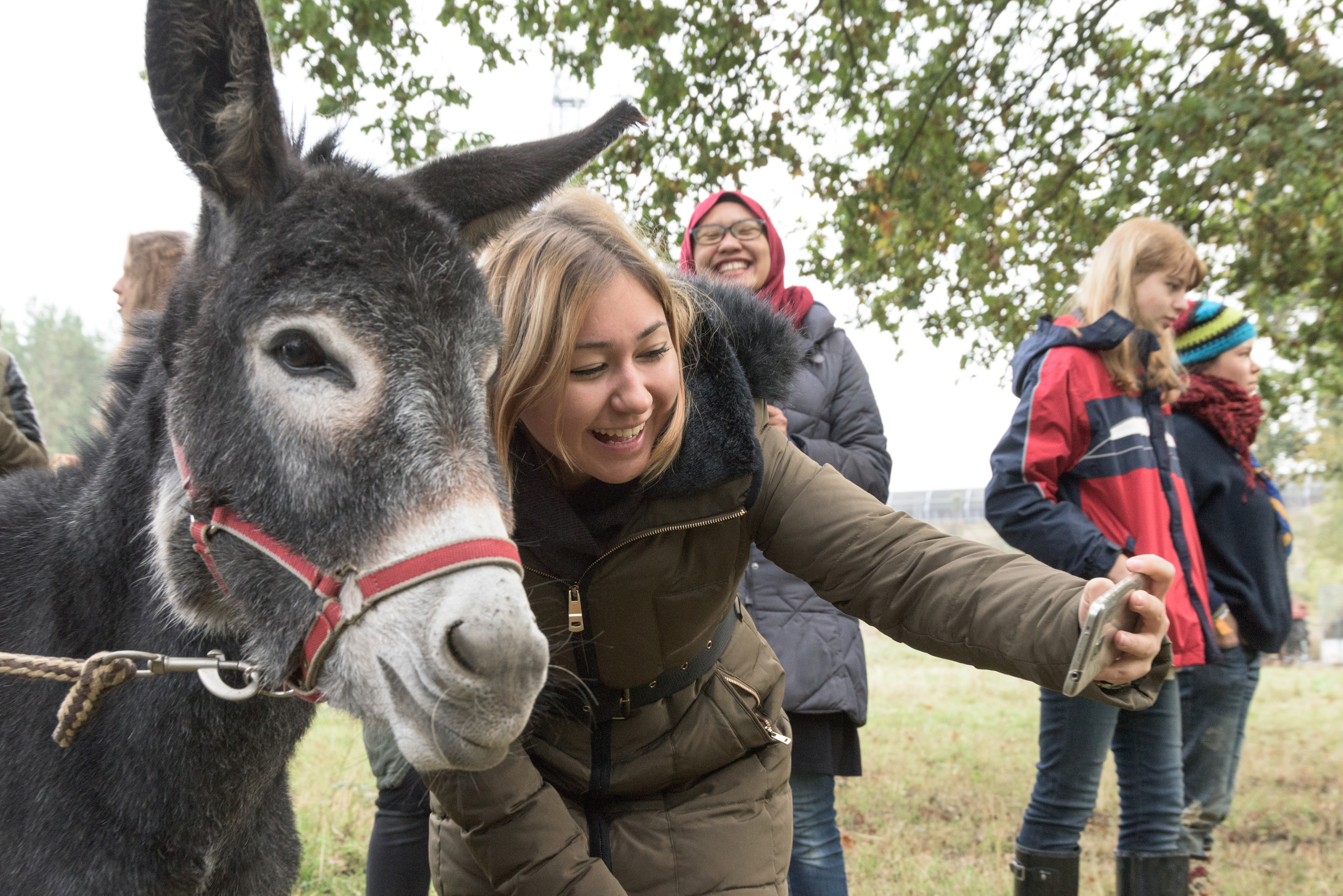 Umweltaktionstag Umweltaktionstag