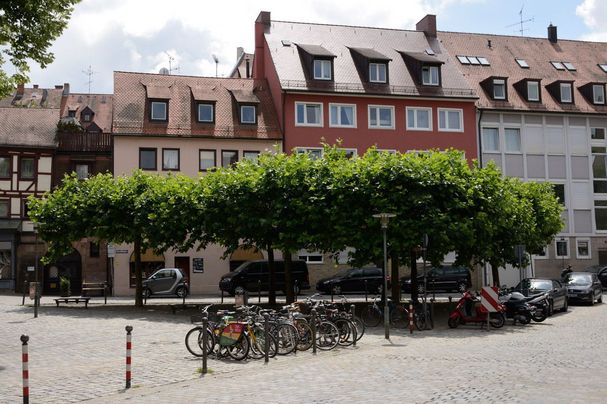 Stadtbäume in Nürnberg (Foto: Thomas Stephan) Stadtbäume in Nürnberg