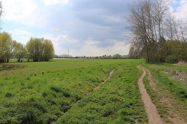Wetzendorfer Landgraben (Foto: BN) Wetzendorfer Landgraben