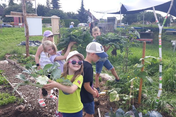 Ernte im Naturgarten Gebersdorf (Foto: Carola Beck) Ernte im Naturgarten Gebersdorf